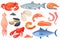 Cartoon raw seafood. Sea fish gourmet food, crayfish squid shrimp salmon crab trout shellfish, lobster dinner, ocean red