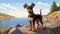 Cartoon Realism Doberman Pinscher Puppy On Nova Scotia Beach