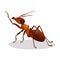 Cartoon realistic ant on white. One leg raised up