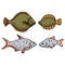 Cartoon and realistic flounder and roach vector illustration motif set.