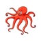 Cartoon red ocean octopus character