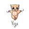 Cartoon red yoga kitten doing exercise. Vector image.