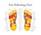 Cartoon Reflexology Feet Alternative Medicine. Vector