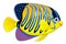 Cartoon regal angelfish