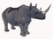 Cartoon Rhino