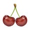 Cartoon ripe branch of red sweet cherries