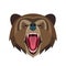 Cartoon roaring bear head on white background