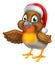 Cartoon Robin Bird in Santa Christmas Hat