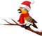 Cartoon robin bird wearing santa hat and scarf