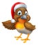 Cartoon Robin in Christmas Santa Hat