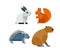 Cartoon rodents animals vector set.