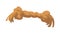 Cartoon rope toy for dogs. Canine chewing bone. Puppy care equipment. Domestic animals supplies template. Veterinary
