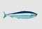 Cartoon Sardine Fish