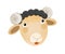 Cartoon scene with farm sheep body part on white background