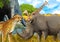 cartoon scene with giraffes rhinoceros rhino and cheetah on the meadow near some mountain safari illustration for children