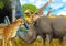 cartoon scene with giraffes rhinoceros rhino and cheetah on the meadow near some mountain safari illustration for children