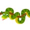 cartoon scene with happy tropical animal snake isolated illustration for children