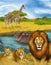 Cartoon scene with hippopotamus hippo swimming in river near the meadow and giraffes resting illustration for children