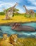 Cartoon scene with lions and hippopotamus hippo swimming in river near the meadow and giraffes resting - illustration for children