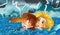Cartoon scene with old ship sinking during storm with mermaid rescuing prince