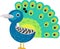 cartoon scene with peacock animal bird stading happy and proud isolated illustration for children