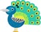 cartoon scene with peacock animal bird stading happy and proud isolated illustration for children