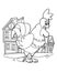 Cartoon scene with rooster on the farm on white background - coloring page