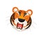 Cartoon scene with tiger body part head on white background