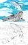 Cartoon scene with wild animal seal in polar nature - illustration