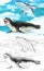 Cartoon scene with wild swimming animals in polar nature - illustration