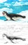 Cartoon scene with wild swimming animals in polar nature - illustration