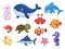 Cartoon sea animal. Tropical ocean animals, funny fish, turtle and dolphin. Cute whale and jellyfish, marine creature