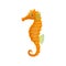 Cartoon sea horse fish, underwater seahorse animal