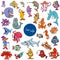 Cartoon sea life animal characters collection