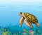 Cartoon sea turtle and coral reef.