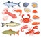 Cartoon seafood. Fresh fish, oyster, lobster, red tuna, salmon, octopus, shrimp, squid. Raw sea animal gourmet food