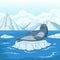 Cartoon seal on ice floe