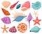 Cartoon seashells. Summer beach sea shells, underwater, ocean reef tropical shells. Marine beach shells decoration