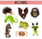 Cartoon Set of Cute Animals insectivores living in different parts of the world forests and tropical jungle .A bat, a lizard, hedg