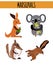 Cartoon Set of Cute Animals marsupials living in Australia and its Islands. Kangaroo, squirrel, numbat, anteater and Koala bear wi