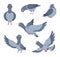 Cartoon set of funny pigeons. Illustrations of birds