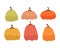 Cartoon set of pumpkins. Season, nature theme. colorful vector illustration, flat style.