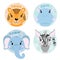 Cartoon set Vector Animals face,four objects. Leopard, hippo, elephant, zebra.