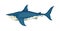 Cartoon shark character, magnificent sea animal