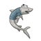Cartoon shark sailor sketch vector illustration