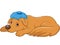 Cartoon sick dog with ice bag, on white background