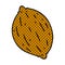 cartoon of a single walnut