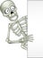 Cartoon skeleton holding blank sign