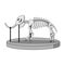 Cartoon skeleton of mammoth on paleontology in museum of prehistory. white background isolated vector illustration