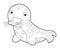 Cartoon sketch animal seal on white background illustration